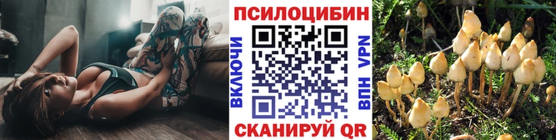 Псилоцибиновые грибы Psilocybine cubensis Торопец